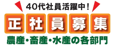 正社員募集しています