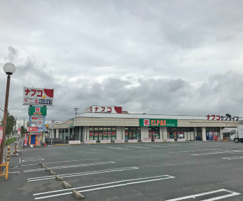 ライフ サン
